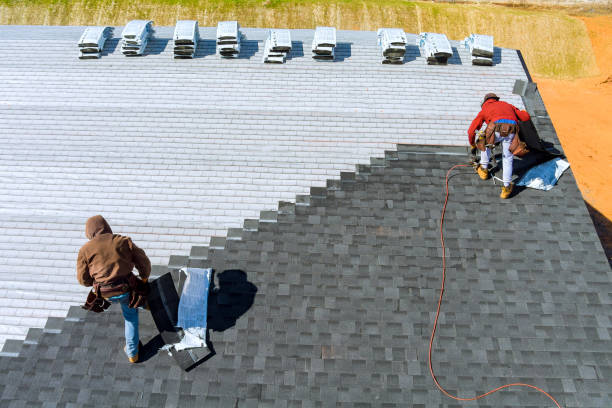 Best Gutter Installation and Roofing  in Coaldale, PA